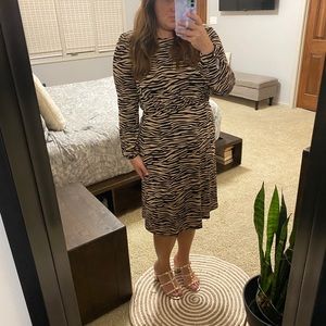 Zebra LOFT work dress